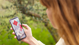 Pilotez votre Alarme à distance