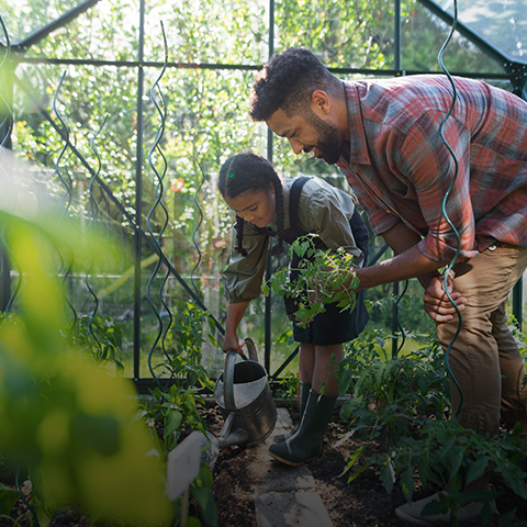 Accessoires et entretien
