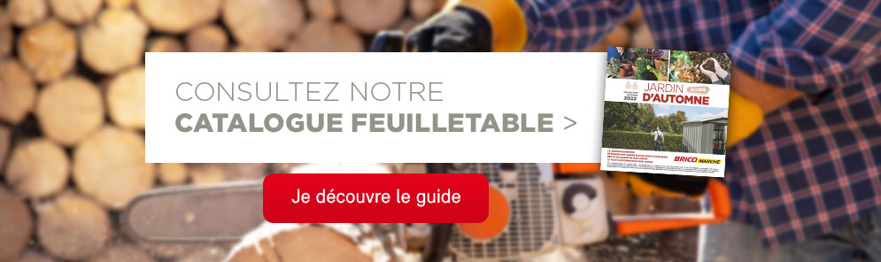 Voir le catalogue en version feuillatable