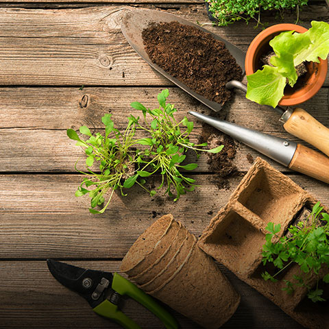 Rallonge et accessoire