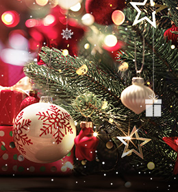 Les boules et suspensions