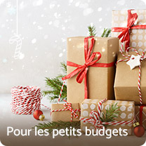 Pour les petits budgets
