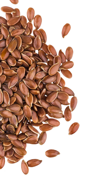 Un maximum de sensation