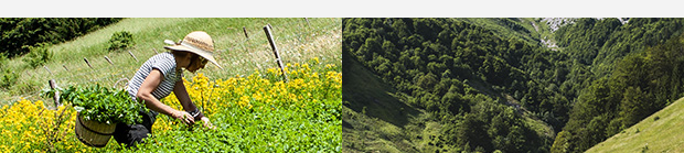 Je suis le beauty trip