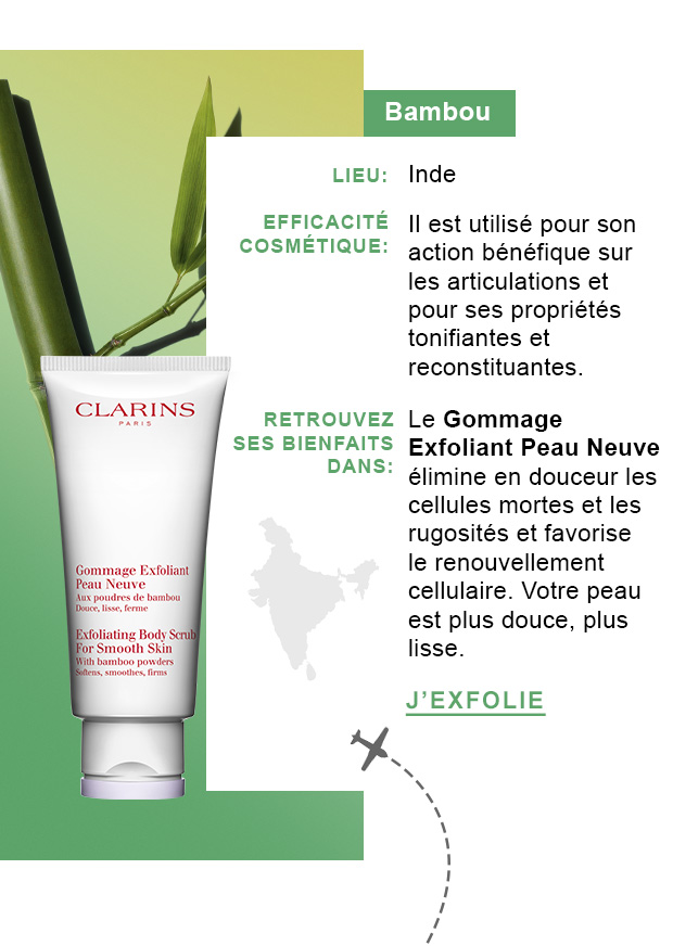 Gommage Corps Peau Neuve