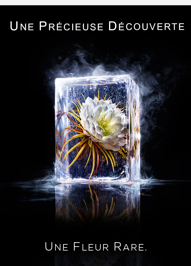 D&eacute;couvrez Clarins Precious